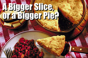 A Bigger Slice, or a Bigger Pie?