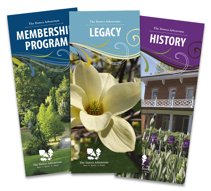 Dawes Trifold Brochures